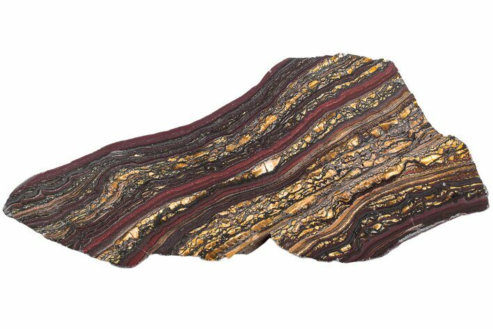 Polished Tiger Iron Stromatolite Slab - Billion Years #222073